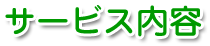 �T�[�r�X���e